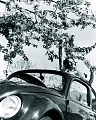 VW - 1940 - Beetle - KdF-Wagen Faltdach aus dem eine Dame sieht - [5420]