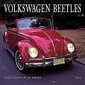VW - 2001 - Volkswagen Beetles 2001 - 978-0763127756 - [7883]
