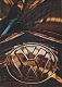 VW brochures,1966,153.032.02  8/66