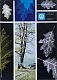 VW magazins - de VW,1959,05, november 59