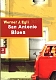 VW books - San Antonio Blues,2002