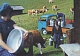 VW miscellaneous,1968,157.173.00