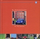 VW books - De Verkenningstochten van Volkswagen,2008