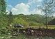 VW miscellaneous,1964,157.146.00