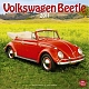VW miscellaneous - VW Beetle 2011,2011