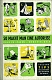 VW books - So macht man eine Autoreise, ohne zu sparen - ohne viel Geld,1954,no