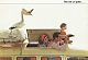 VW brochures - No es un yate ...,1964,152 597 60 1/64
