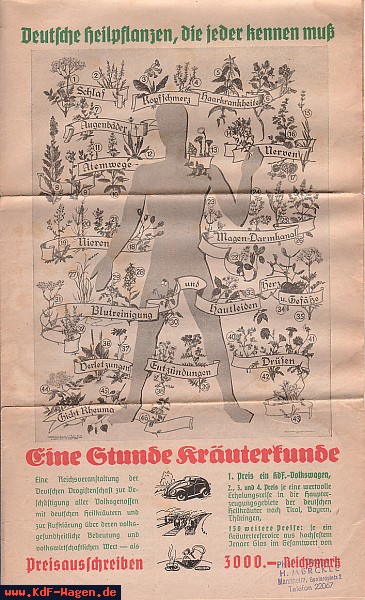 VW - 1938 - Eine Stunde Kräuterkunde - [6678]-1